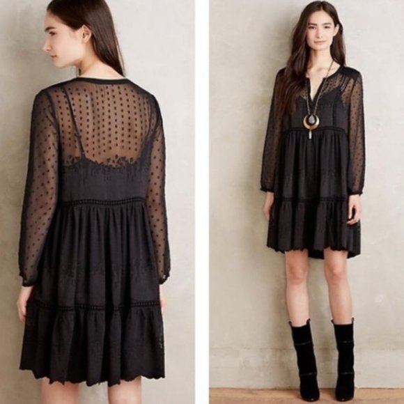 Anthropologie Dresses & Skirts - NTW Anthropologie Vanessa Virginia sheer swing dress